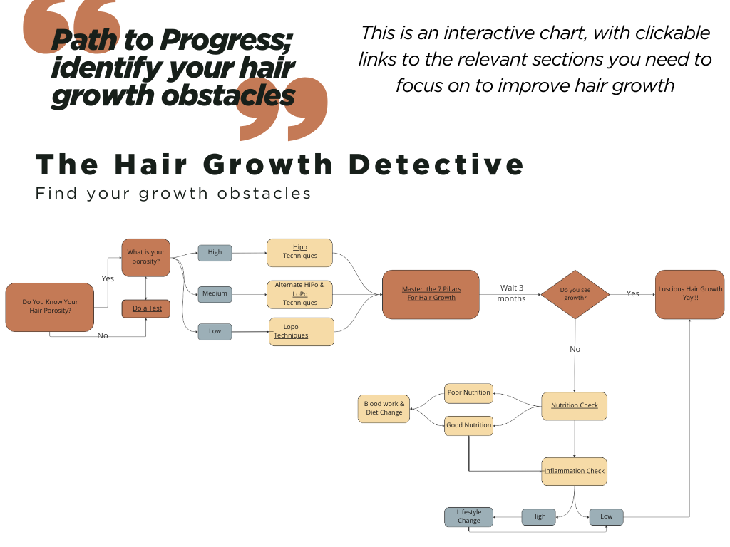 NEW! The Ultimate Hair Growth Masterclass eBook